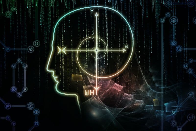 4 levels of consciousness